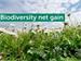 Biodiversity Net Gain 